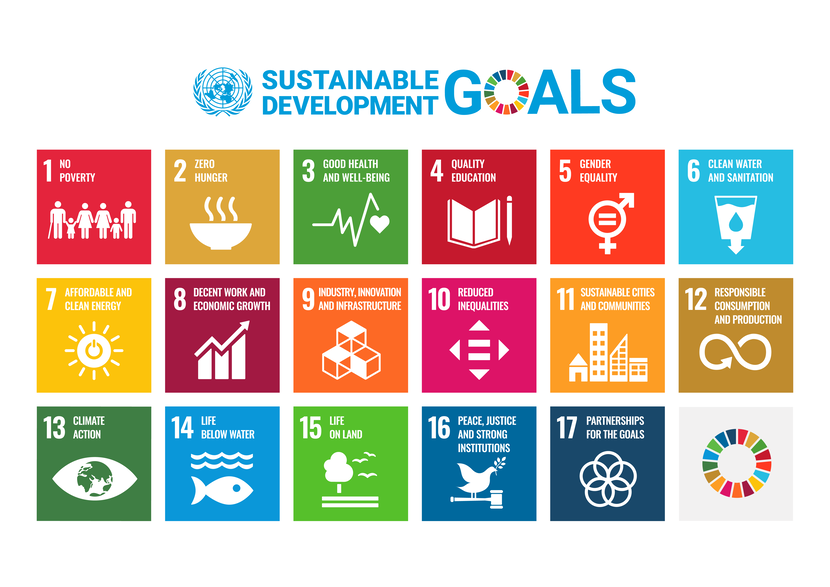 An overview of the 17 UN Sustainable Development Goals