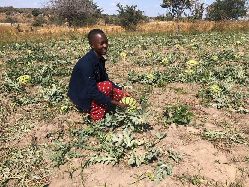Landbouw in Afrika