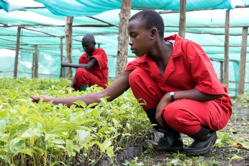 Jongeren in Uganda leren plantjes kweken