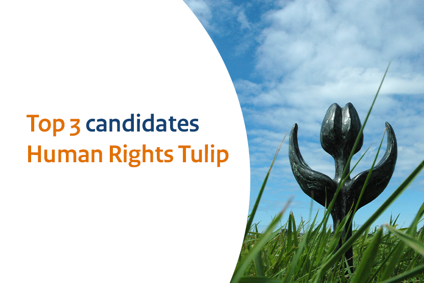 Human Rights Tulip 2023: top three candidates